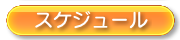 スケジュール